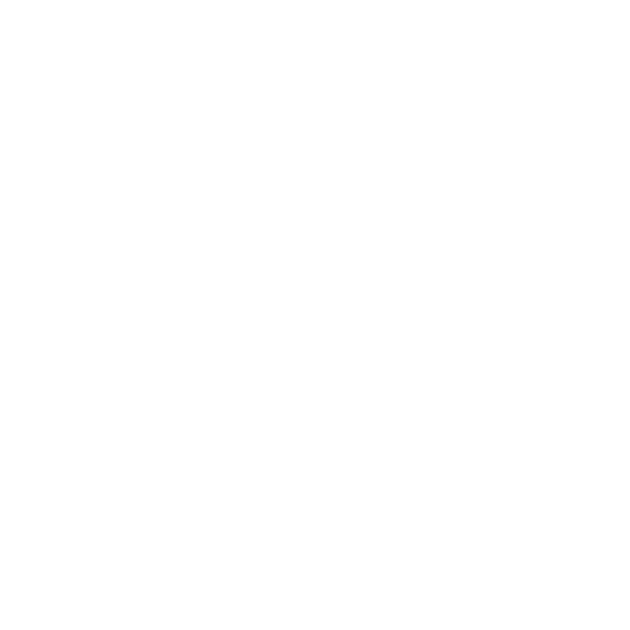 Corvidia logo in white