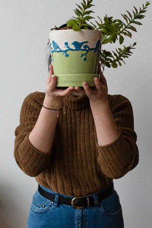 Gif of person holding a green potted plant in front of their face