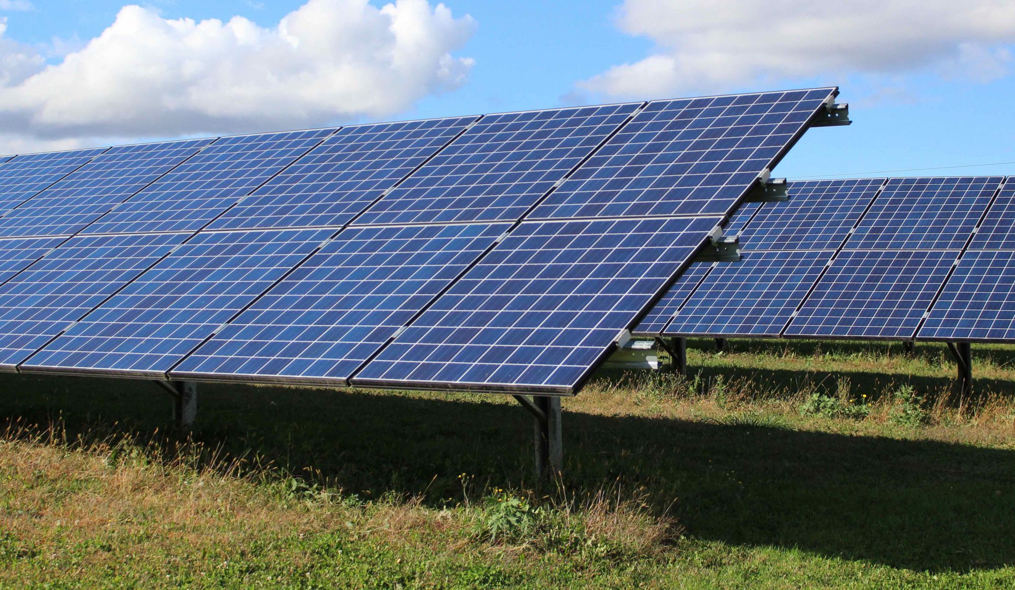 Photo of two ground mounted solar arrays