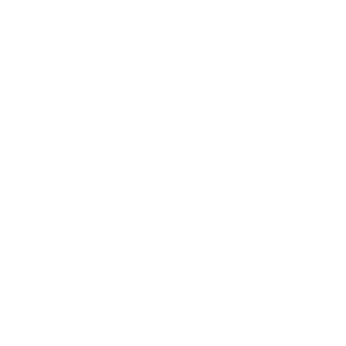City of Auburn, NY Logo