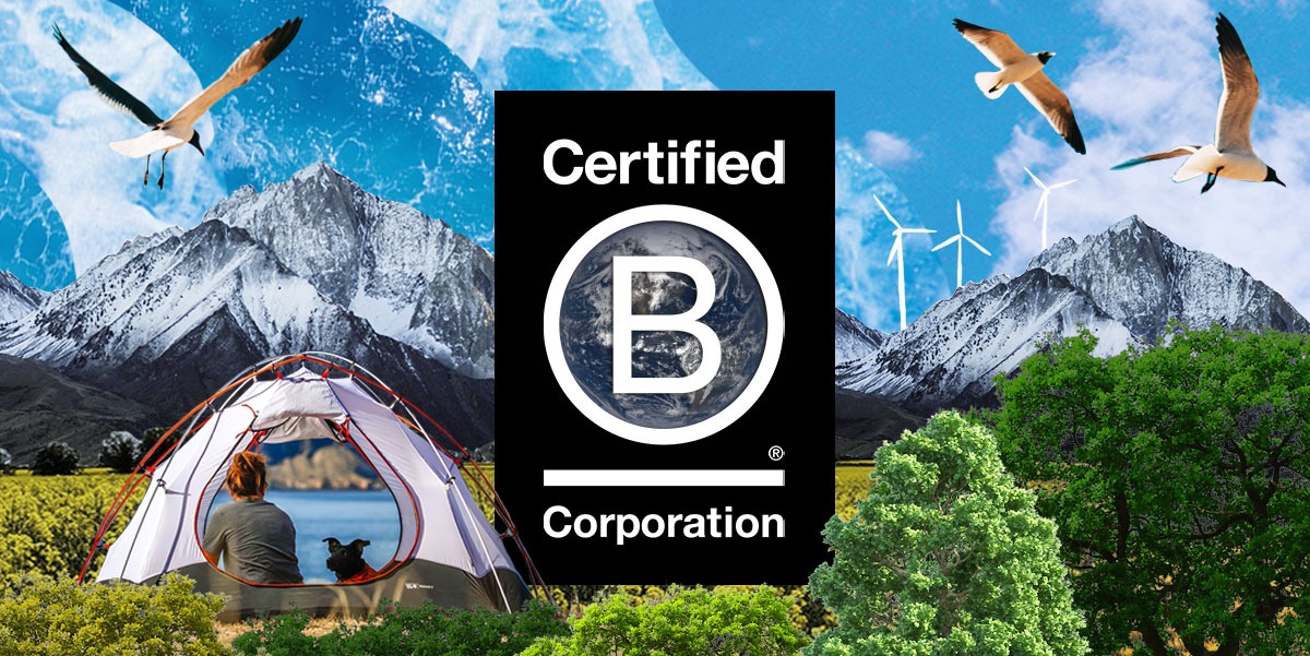 B Corporation logo surrounded by nature