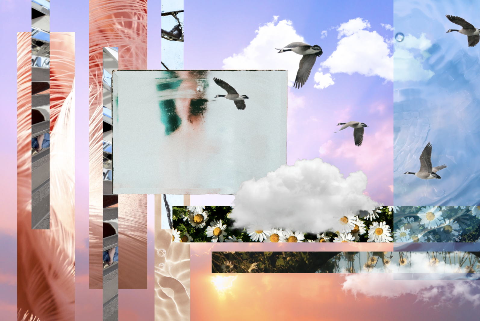 digital collage with a warm, whimsical feeling. Birds fly among clouds as the sun sets