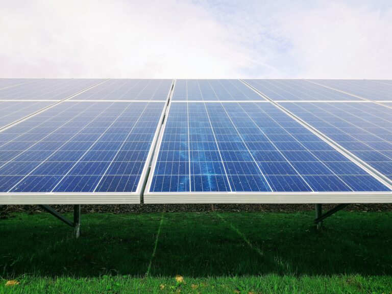 Image demonstrates the size of solar panels that solar businesses install, placed on a patch of green grass.